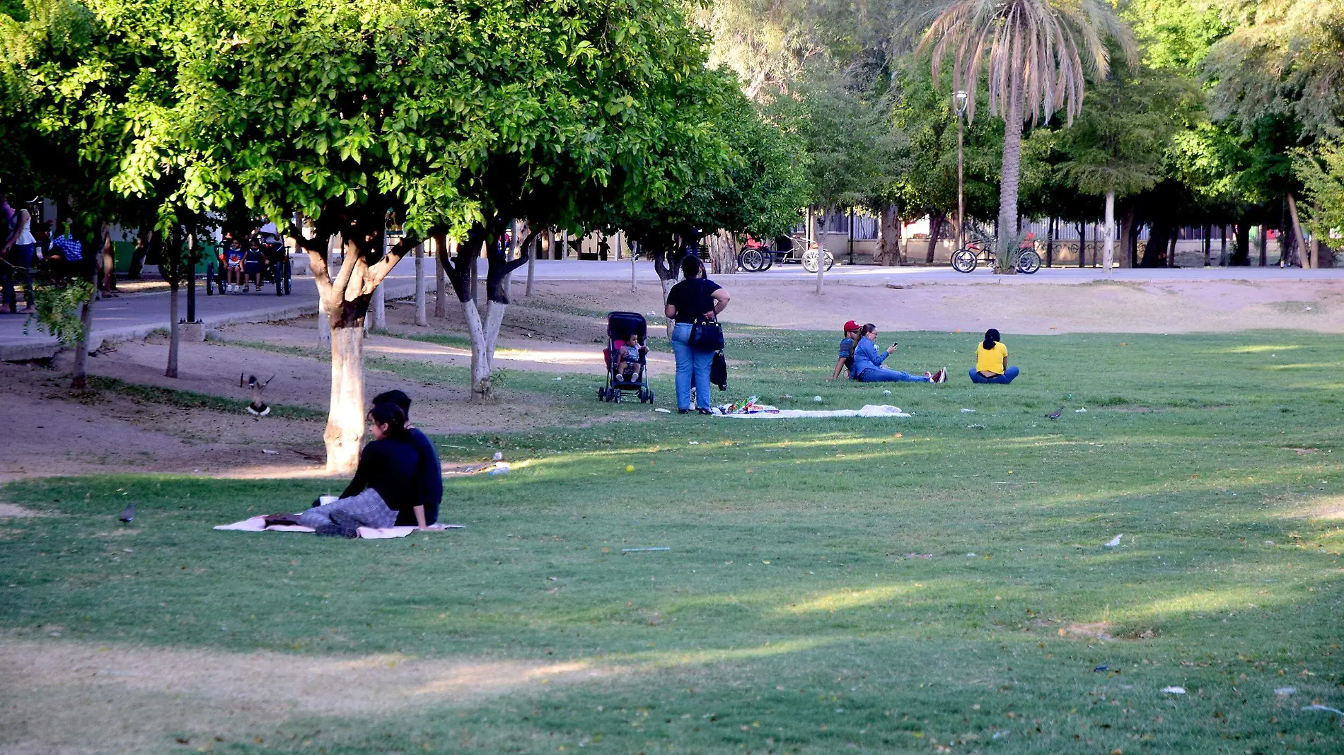 Parque-Madero